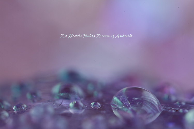 f:id:seicolin:20190113135851j:plain