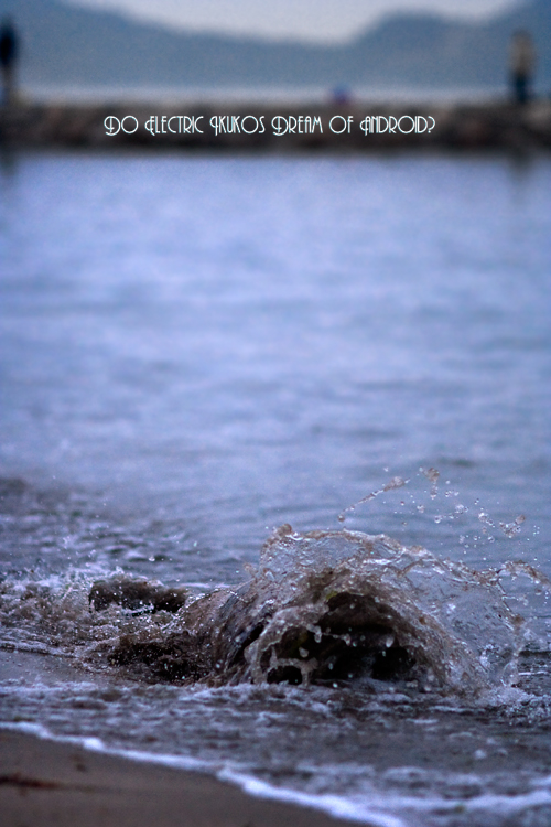 f:id:seicolin:20190113152302j:plain