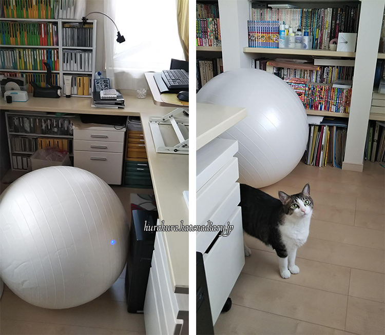 f:id:seicolin:20191216143629j:plain f:id:seicolin:20191216143629j:plain