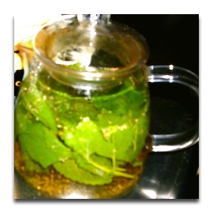 f:id:seienkyo:20100613224834j:image f:id:seienkyo:20100613224834j:image