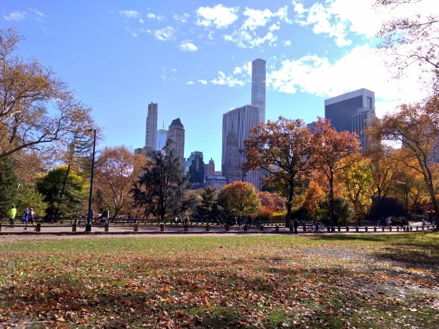 f:id:seigakupost:20190804184806j:plain