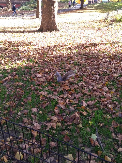 f:id:seigakupost:20190805124448j:plain