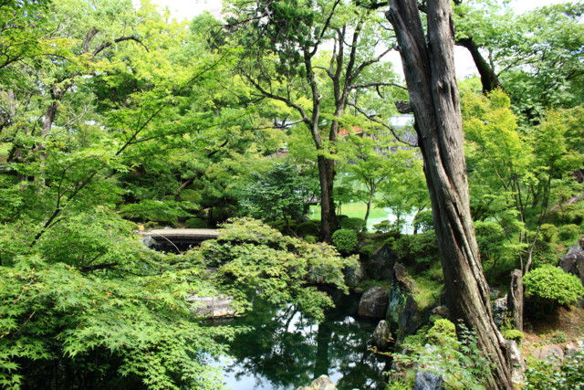 f:id:seigoy:20150822123458j:plain