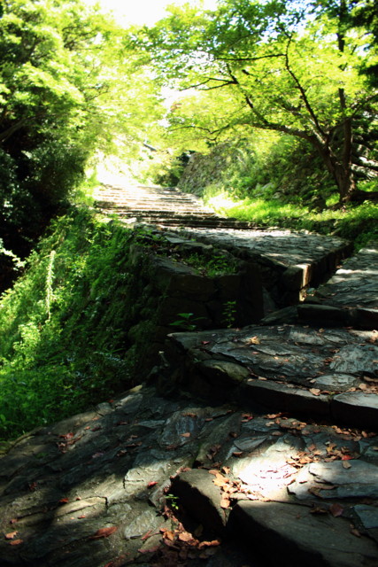 f:id:seigoy:20150822124140j:plain