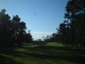 [GOLF] Poppy Hills, Hole #9 (Pebble Beach, CA)