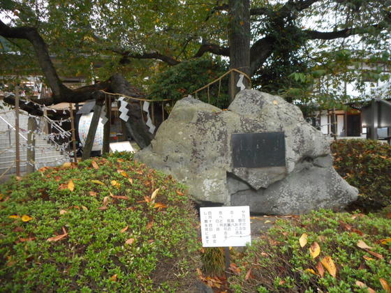 イメージ 3