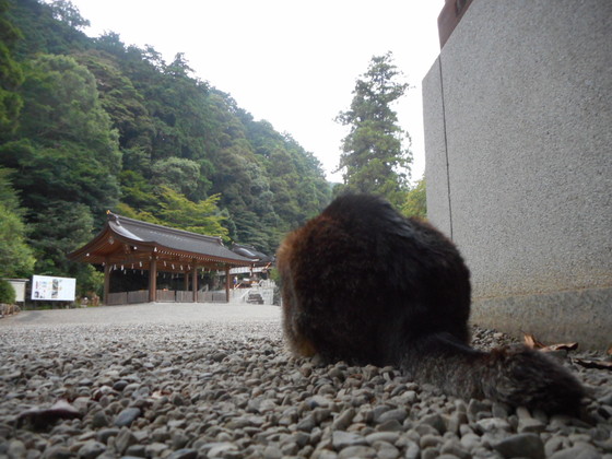 イメージ 7