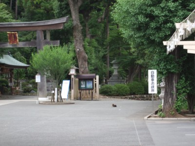 イメージ 2
