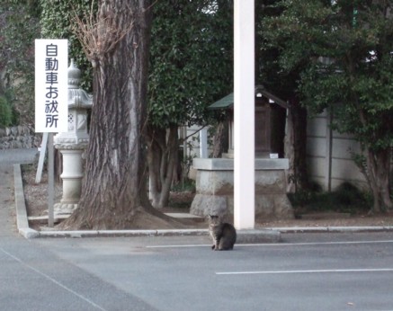 イメージ 8