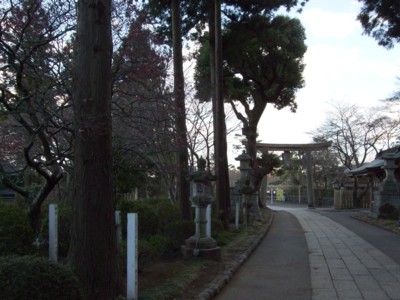 イメージ 10