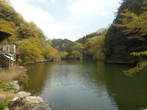 イメージ 5