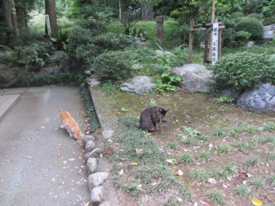 イメージ 4
