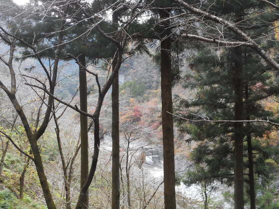 イメージ 4