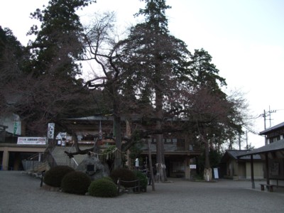 イメージ 5