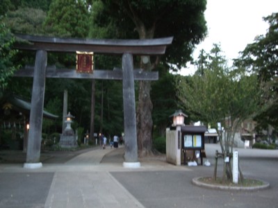 イメージ 6