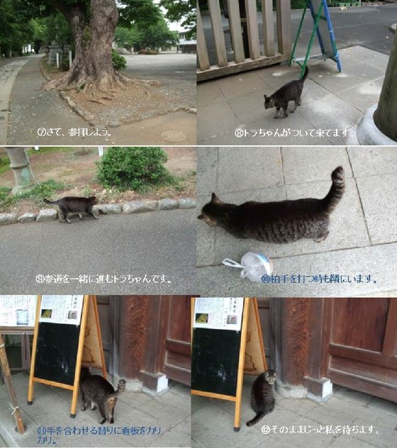 イメージ 2