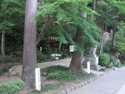 イメージ 2