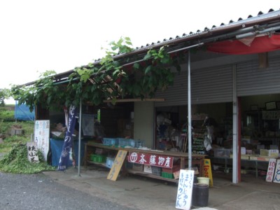 イメージ 2