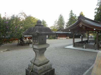 イメージ 5