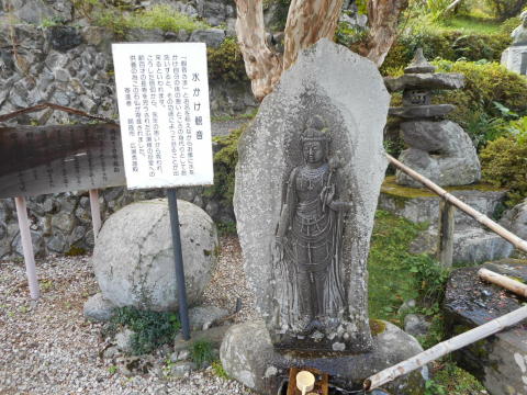 イメージ 8