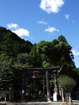 イメージ 4