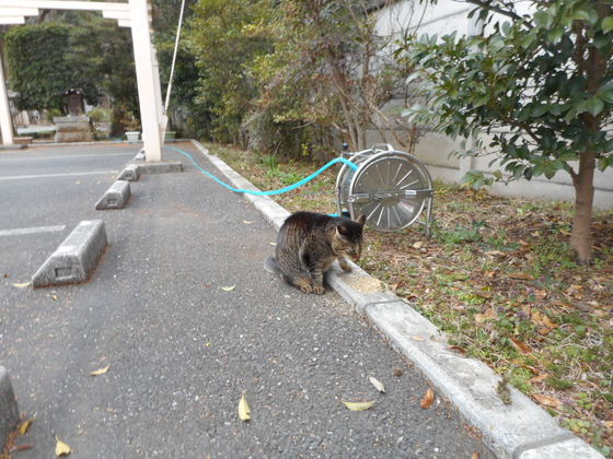 イメージ 3