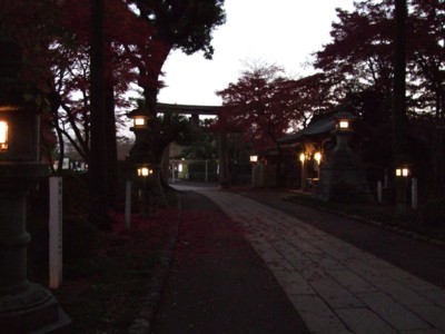 イメージ 5