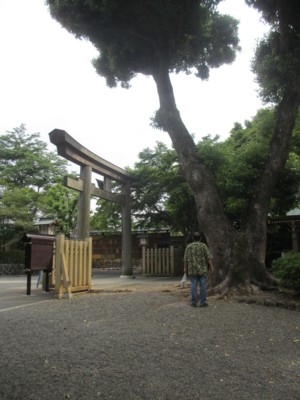 イメージ 3