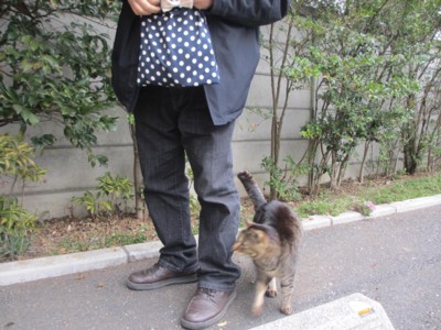 イメージ 3