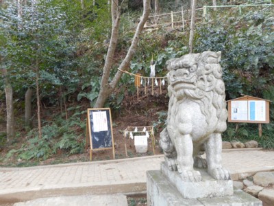 イメージ 5