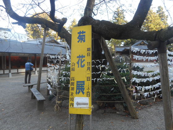 イメージ 5