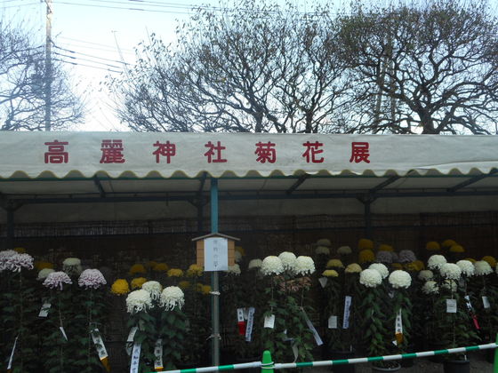 イメージ 7