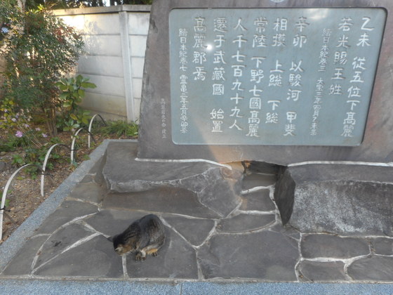 イメージ 8