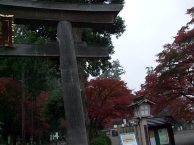 イメージ 6