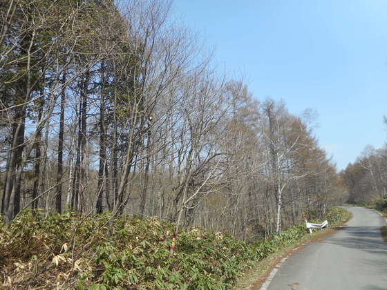 イメージ 5