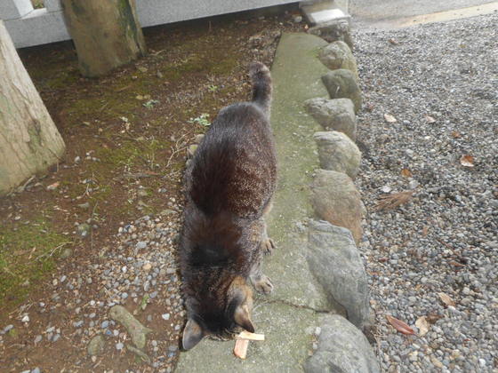 イメージ 4