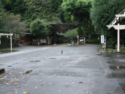 イメージ 4
