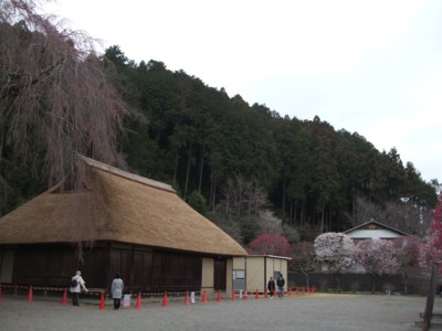 イメージ 7