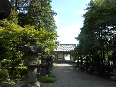 イメージ 7