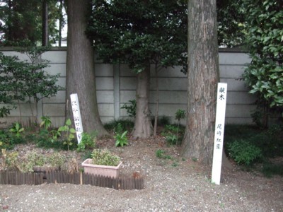 イメージ 6