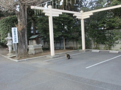イメージ 3