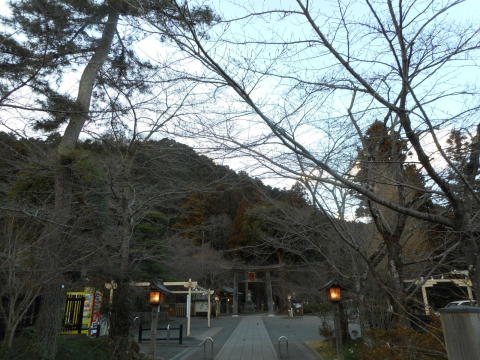 イメージ 7