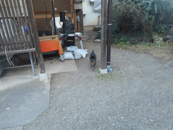 イメージ 2