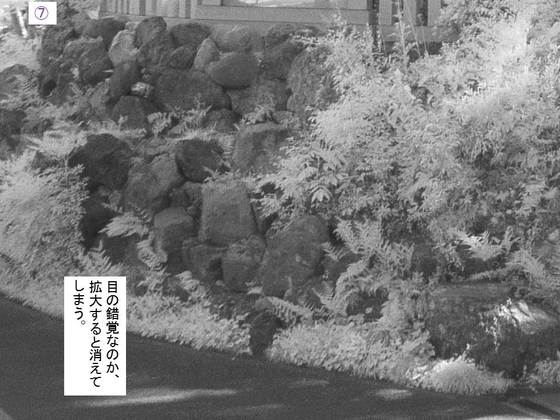イメージ 7