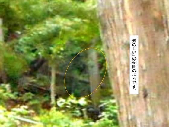 イメージ 5