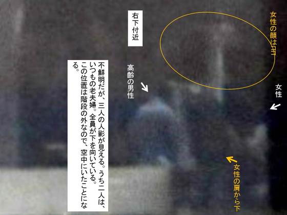 イメージ 6