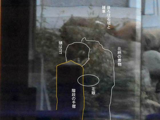イメージ 3