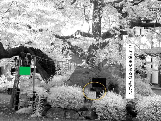 イメージ 6