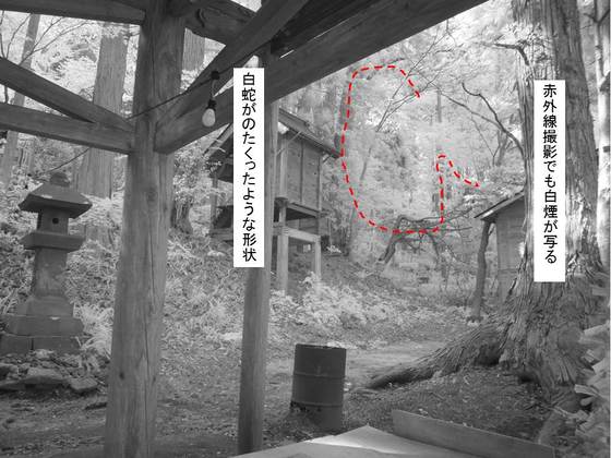 イメージ 10