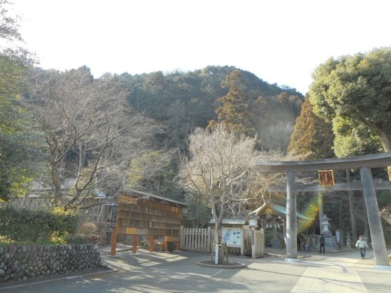 イメージ 3